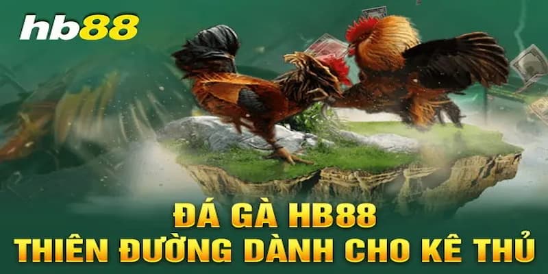 Giới thiệu về đá gà HB88